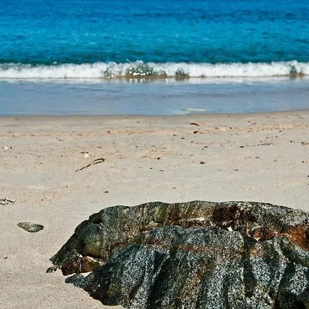 منزل ريفي Agriturismo Lu Nibaru باديسي